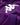 Camisa Feminina Fiorentina 24/25 Home